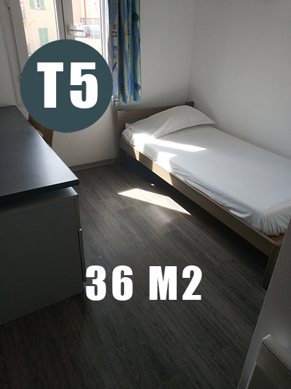 T5